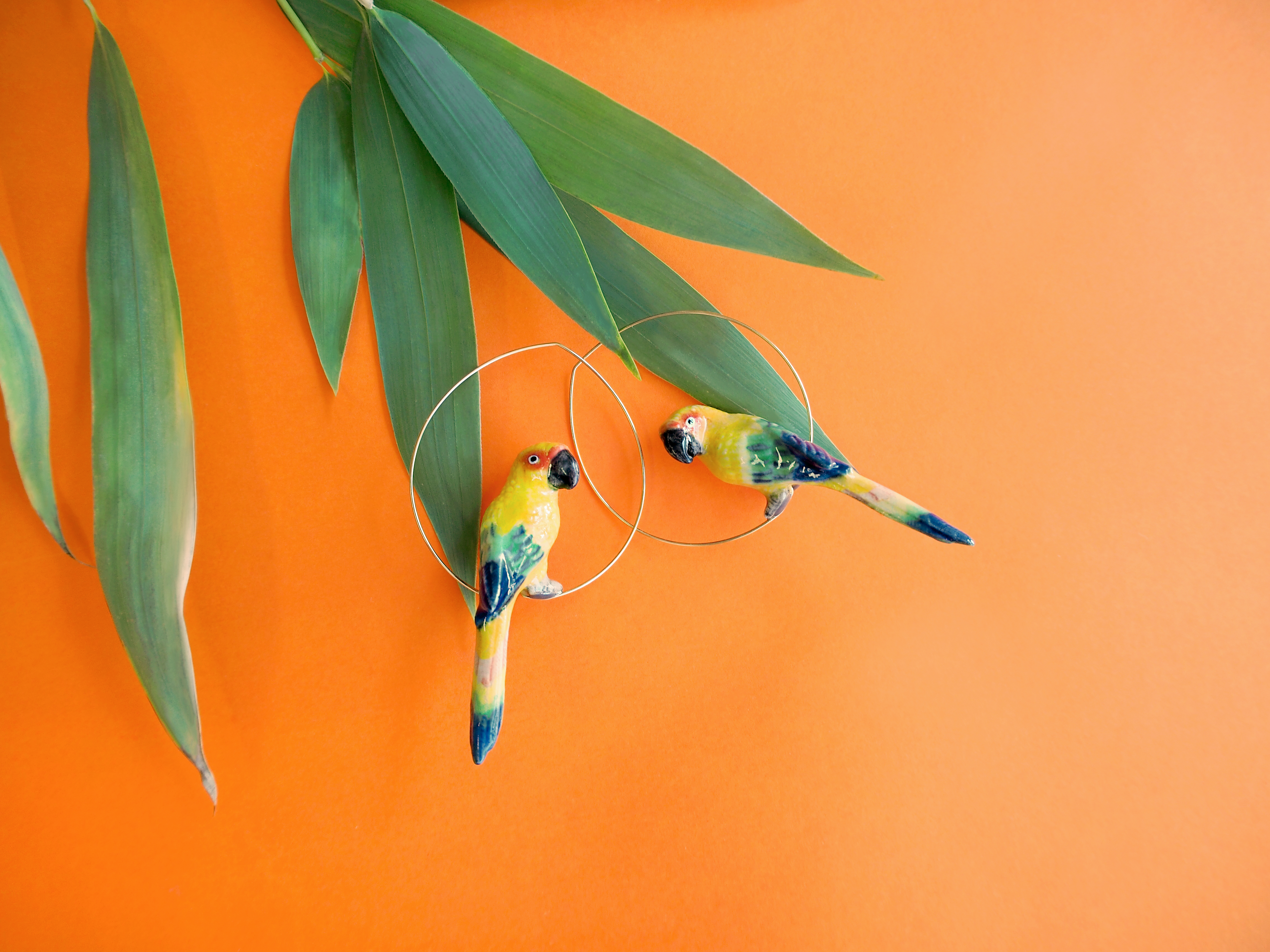 brincos Nach, bah Oui