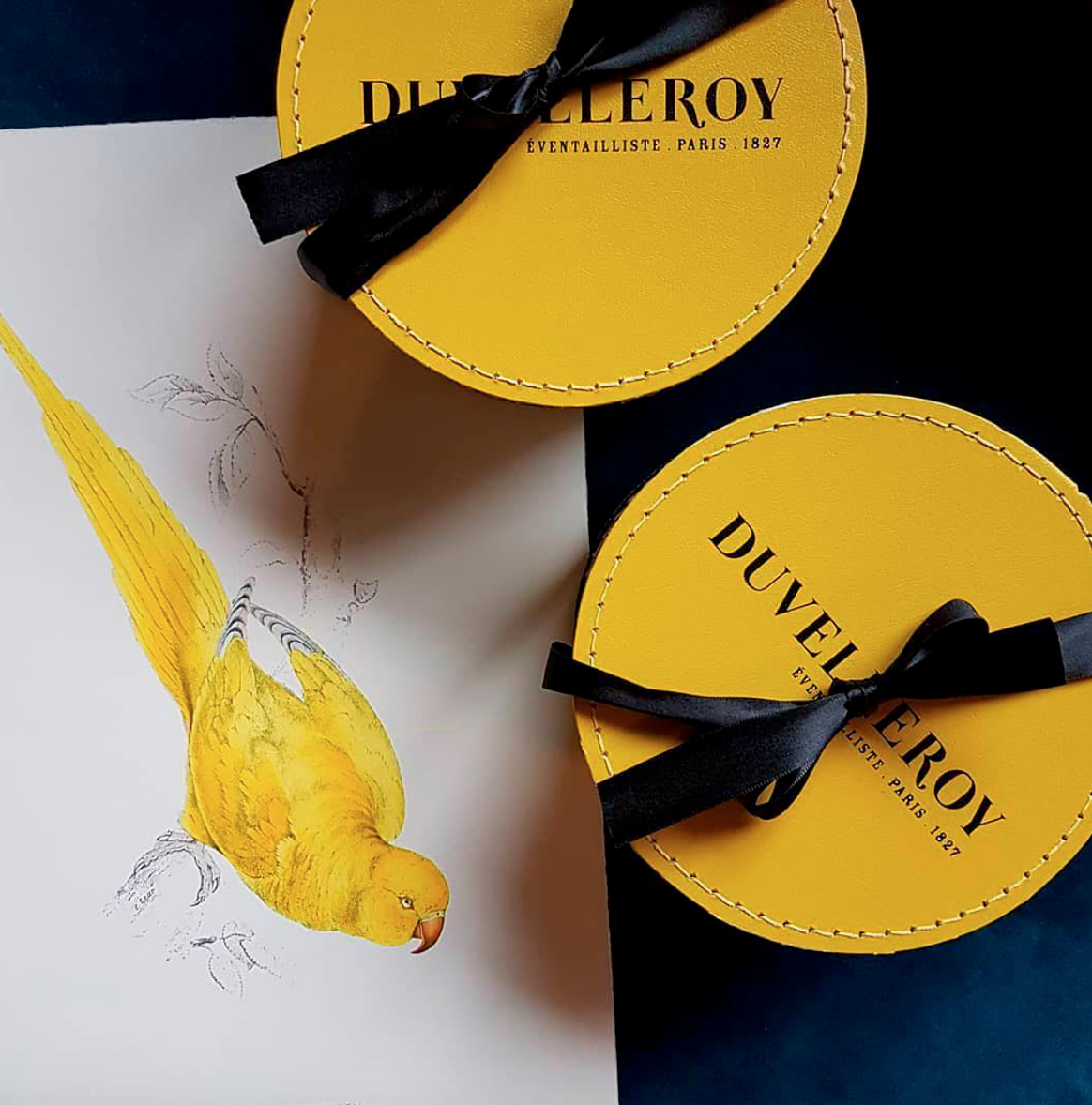 Leques Duvelleroy, Bah Oui