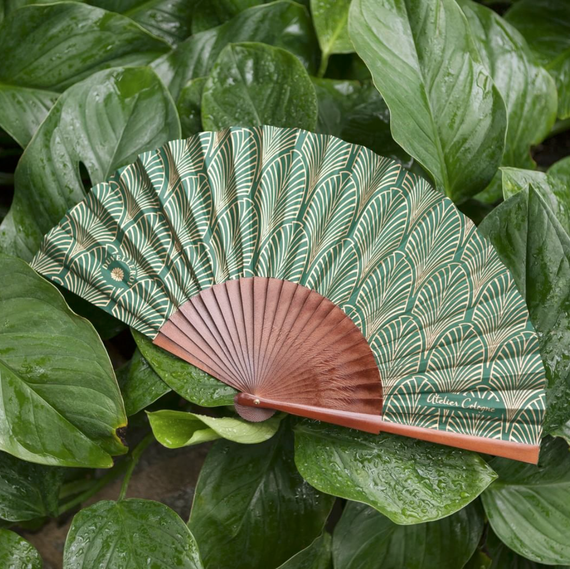 Leque Duvelleroy, Bah Oui