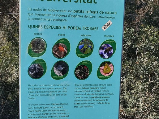 Estel del Mar compromès amb el medi ambient