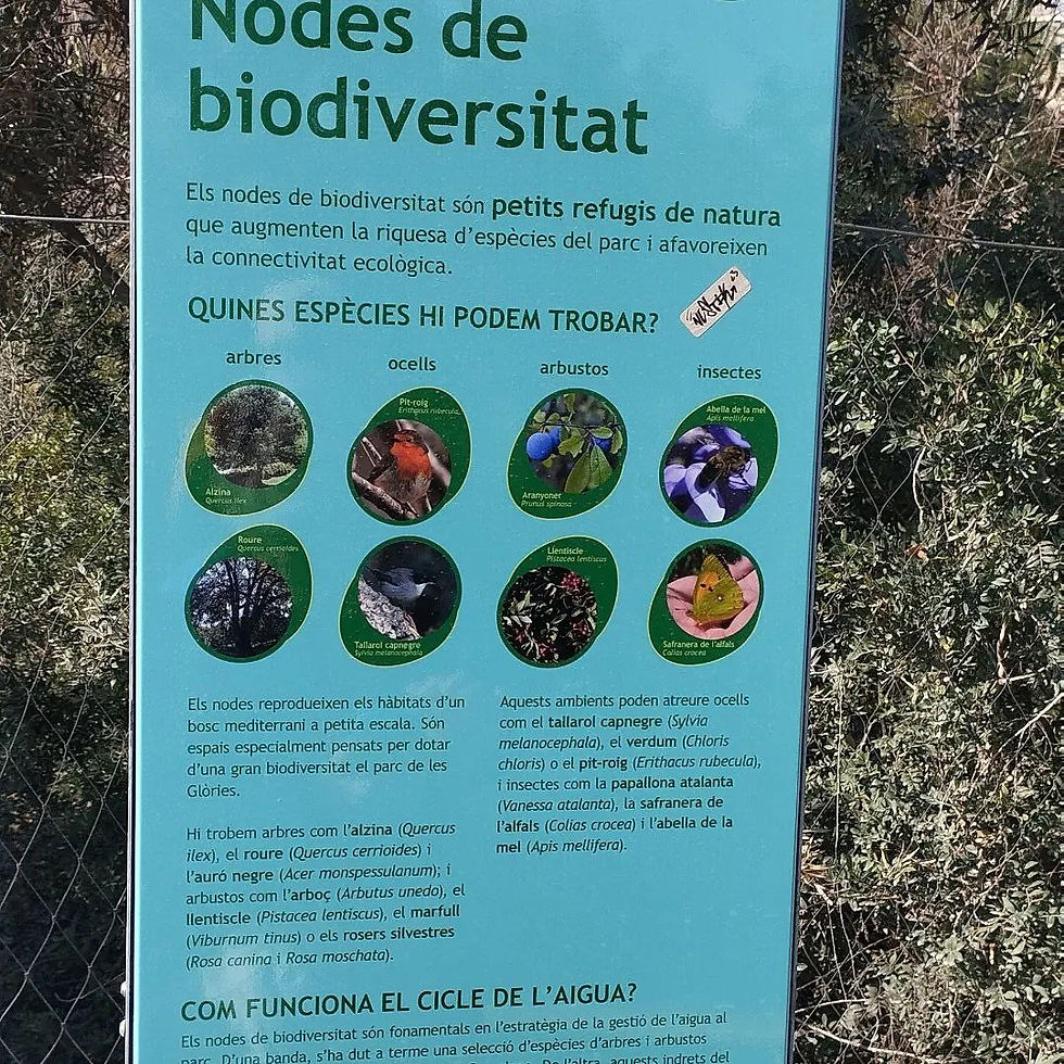 Estel del Mar compromès amb el medi ambient