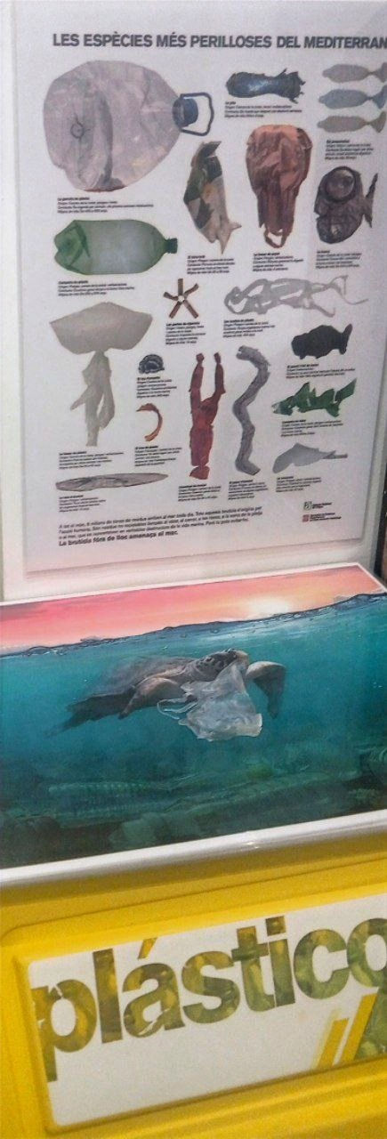 ree