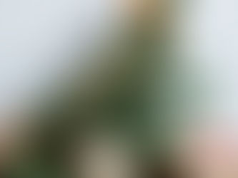 Nachhaltige Weihnachtsdeko aus Naturmaterialien und Tannenzweigen