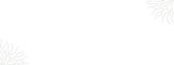 Tilted Root Border Banner.png