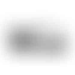 Drew's Dog Walking Logo