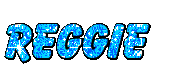 z612ff88426d29.gif