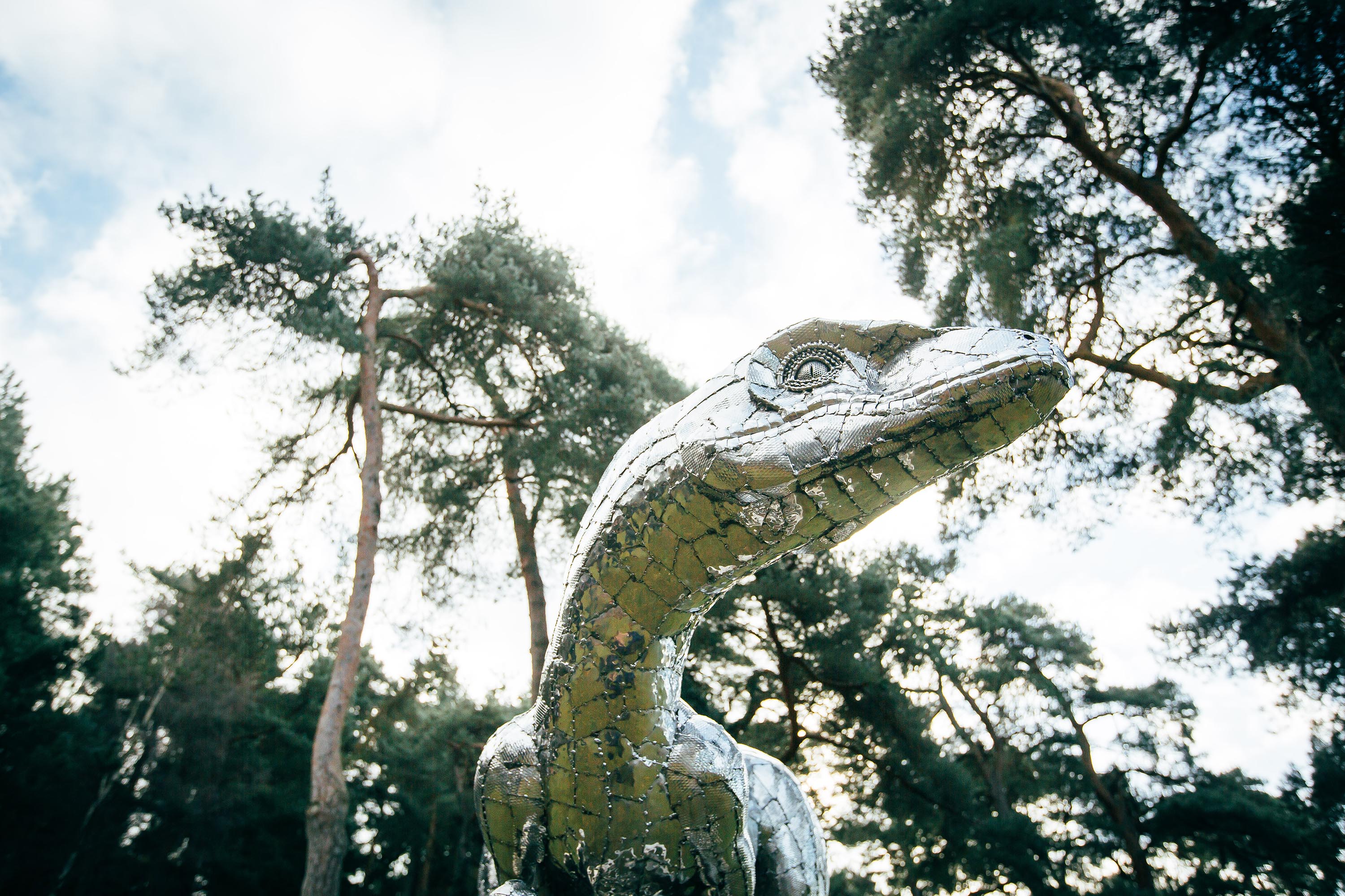Velociraptor