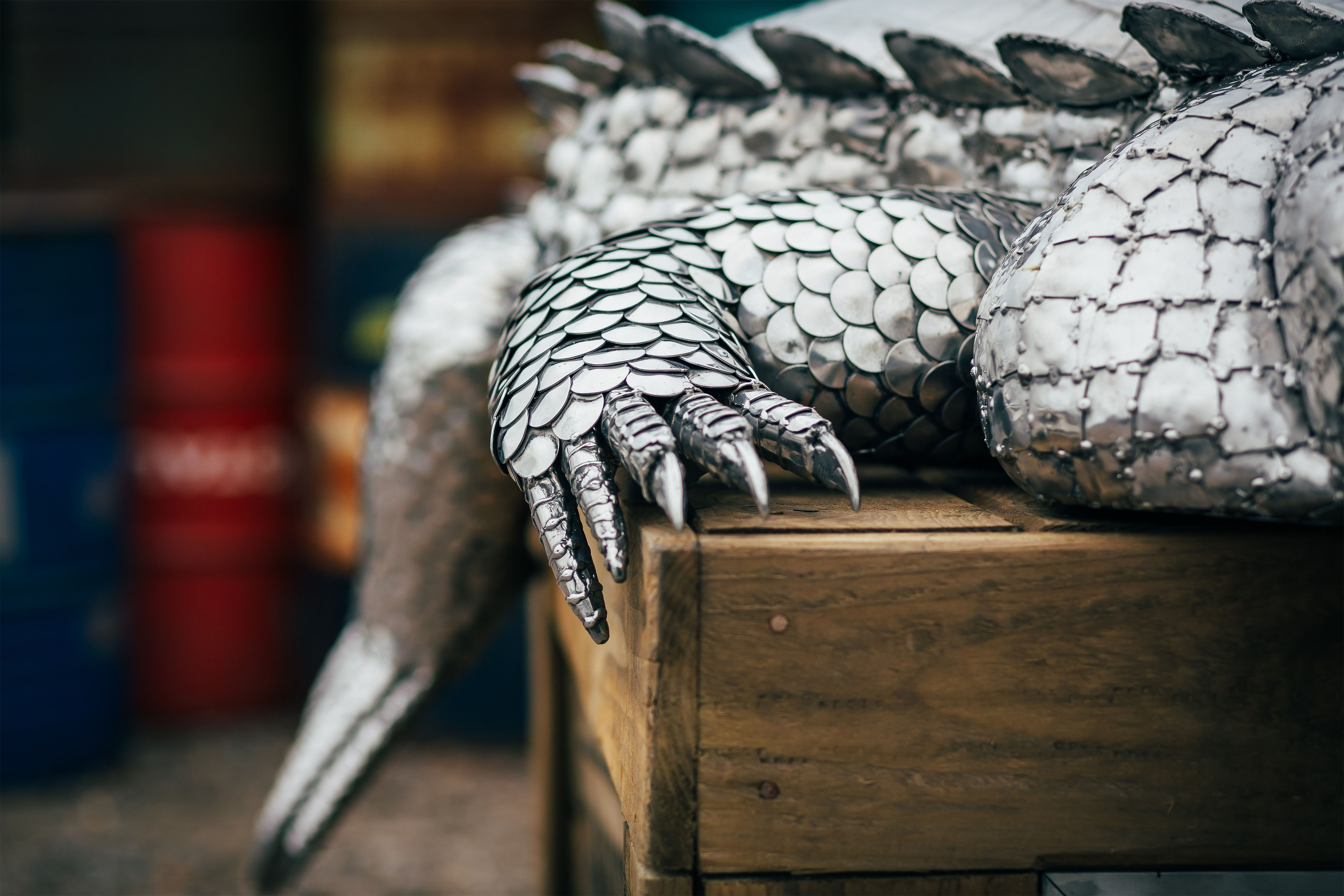 Crocodile