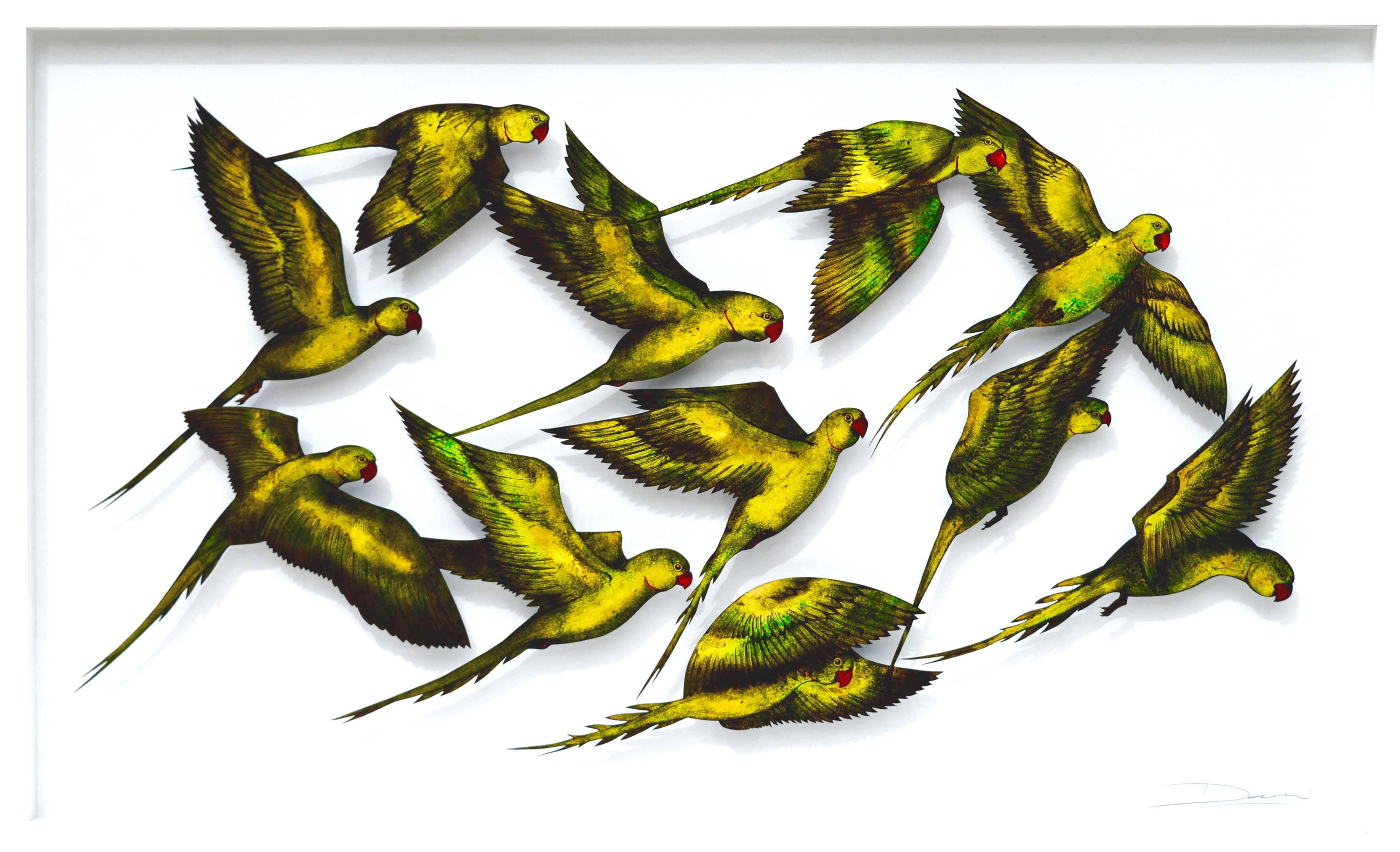 Flock of Rose ring-necked Parakeets