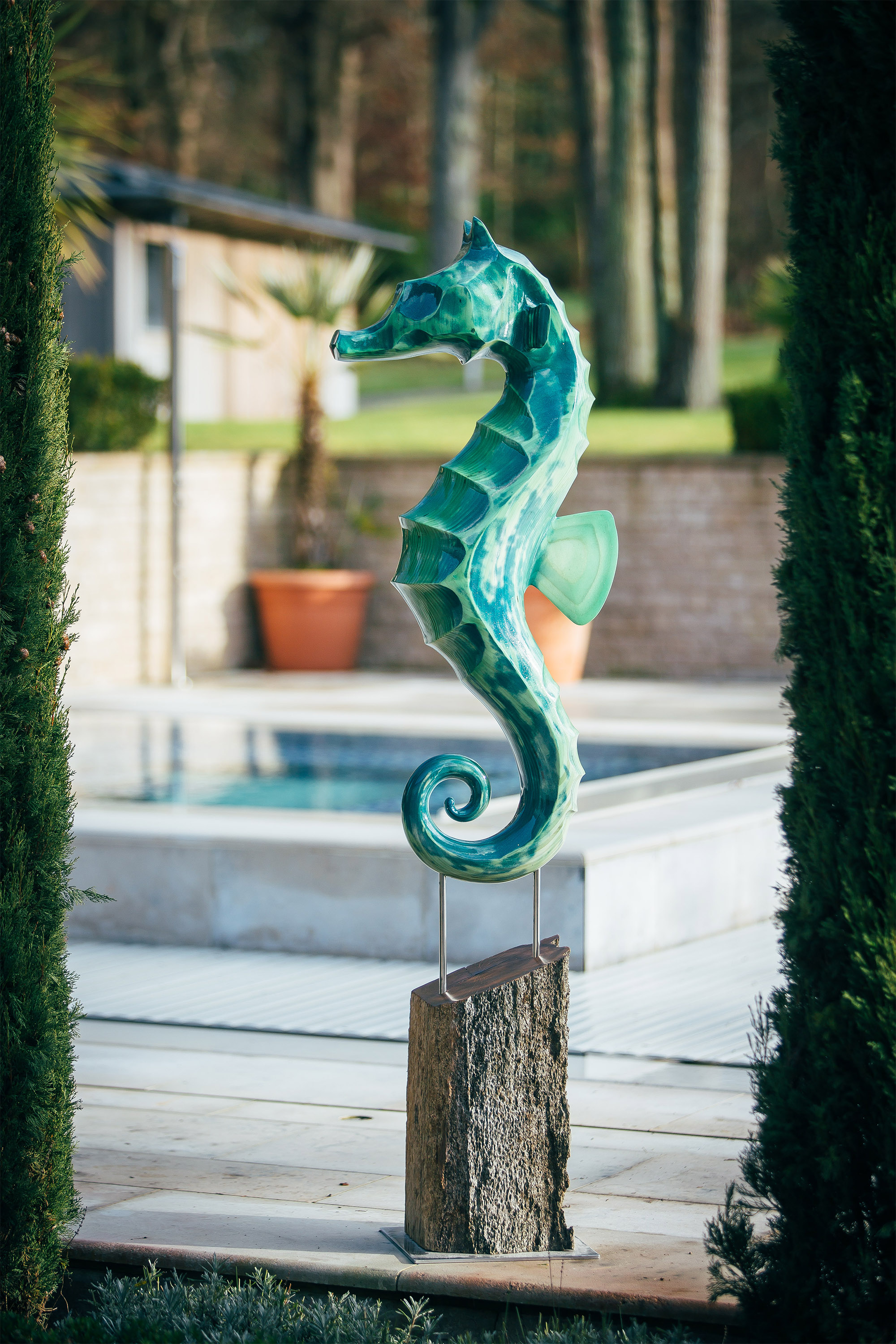 Seahorse