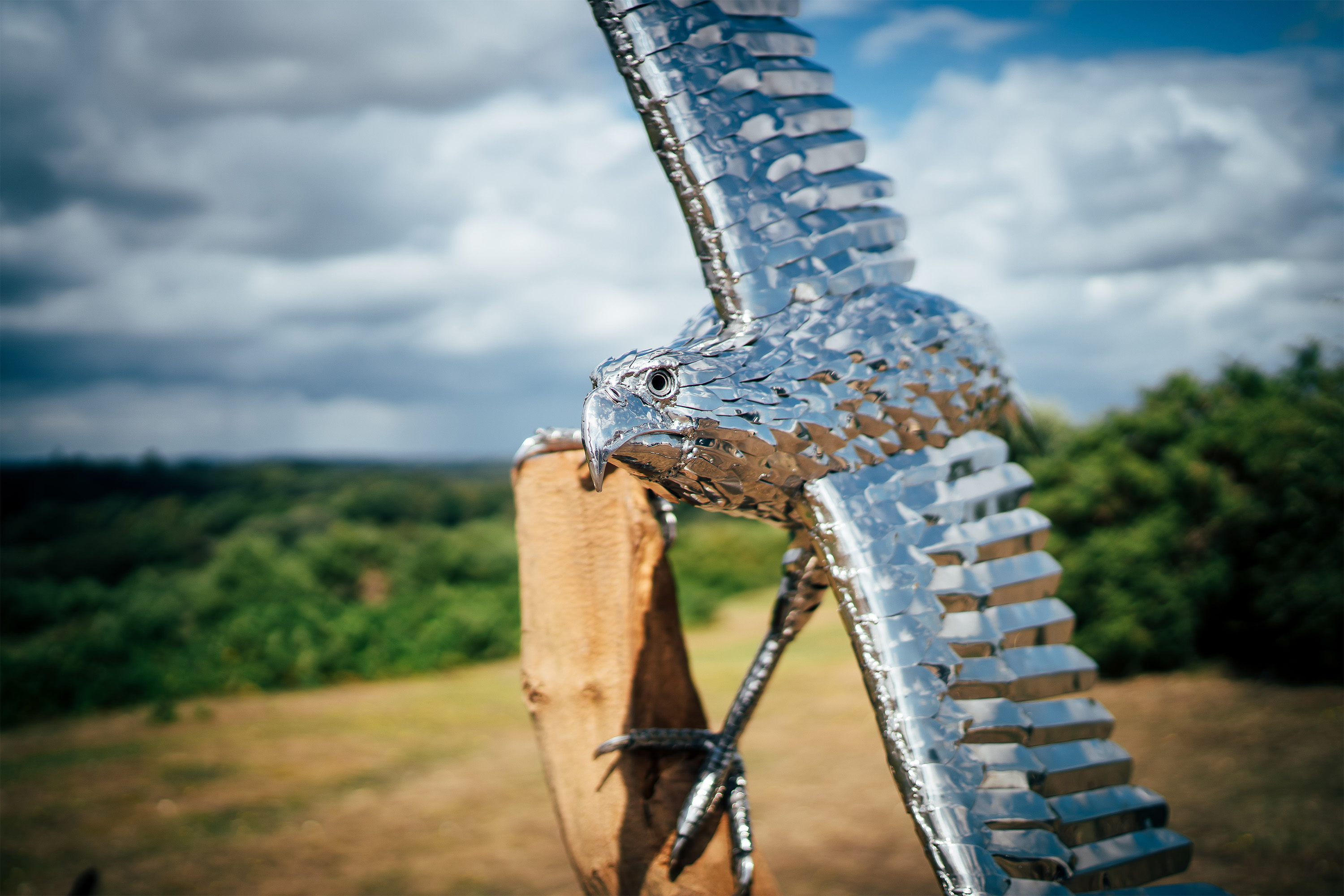 Eagle