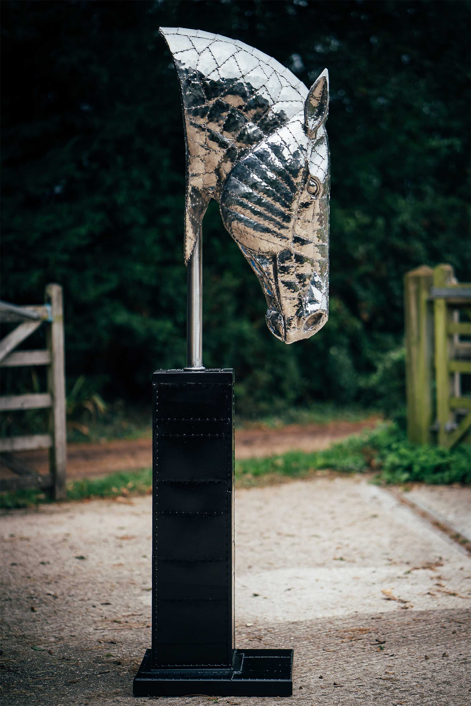 Horses Head