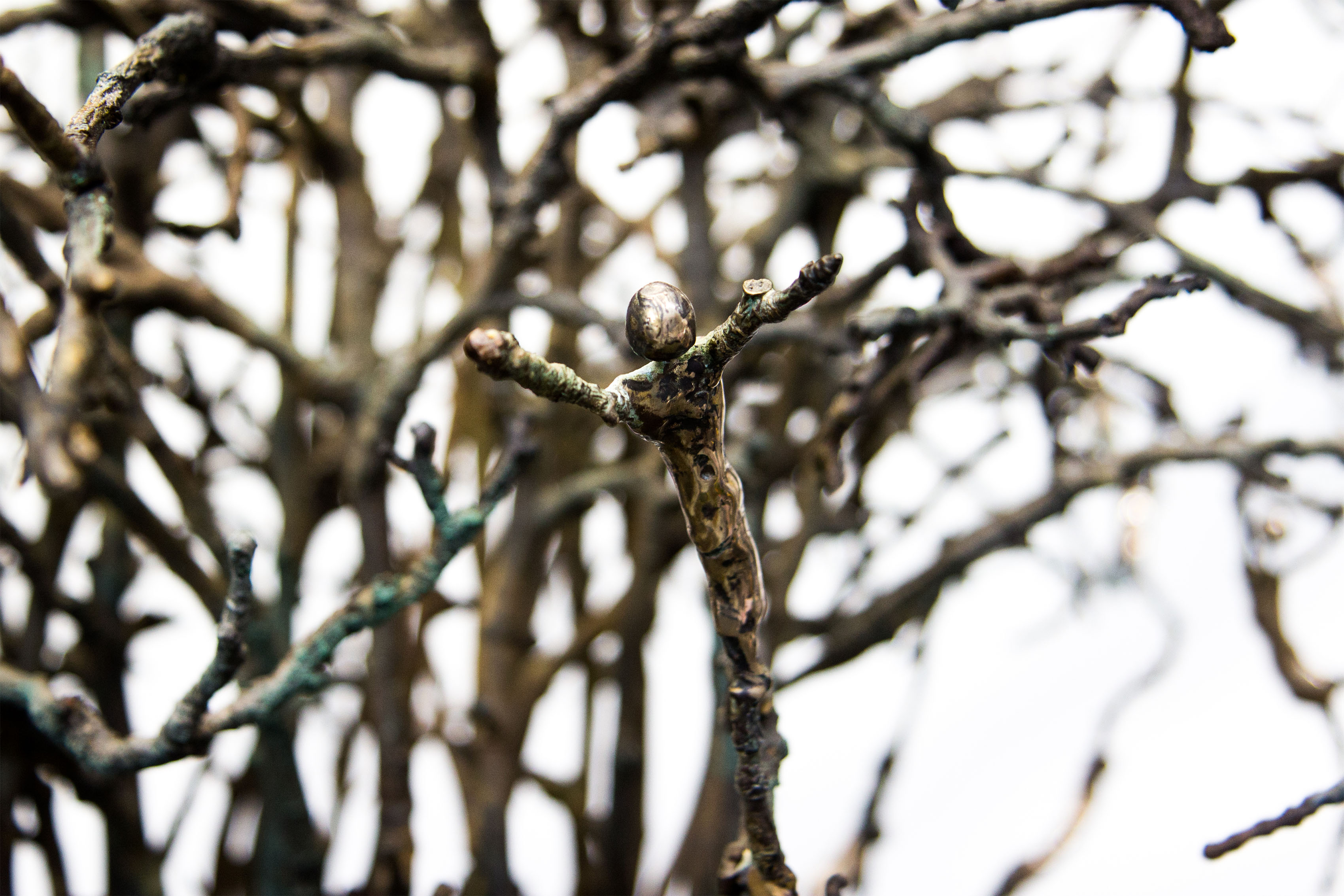 DNA Tree of Life