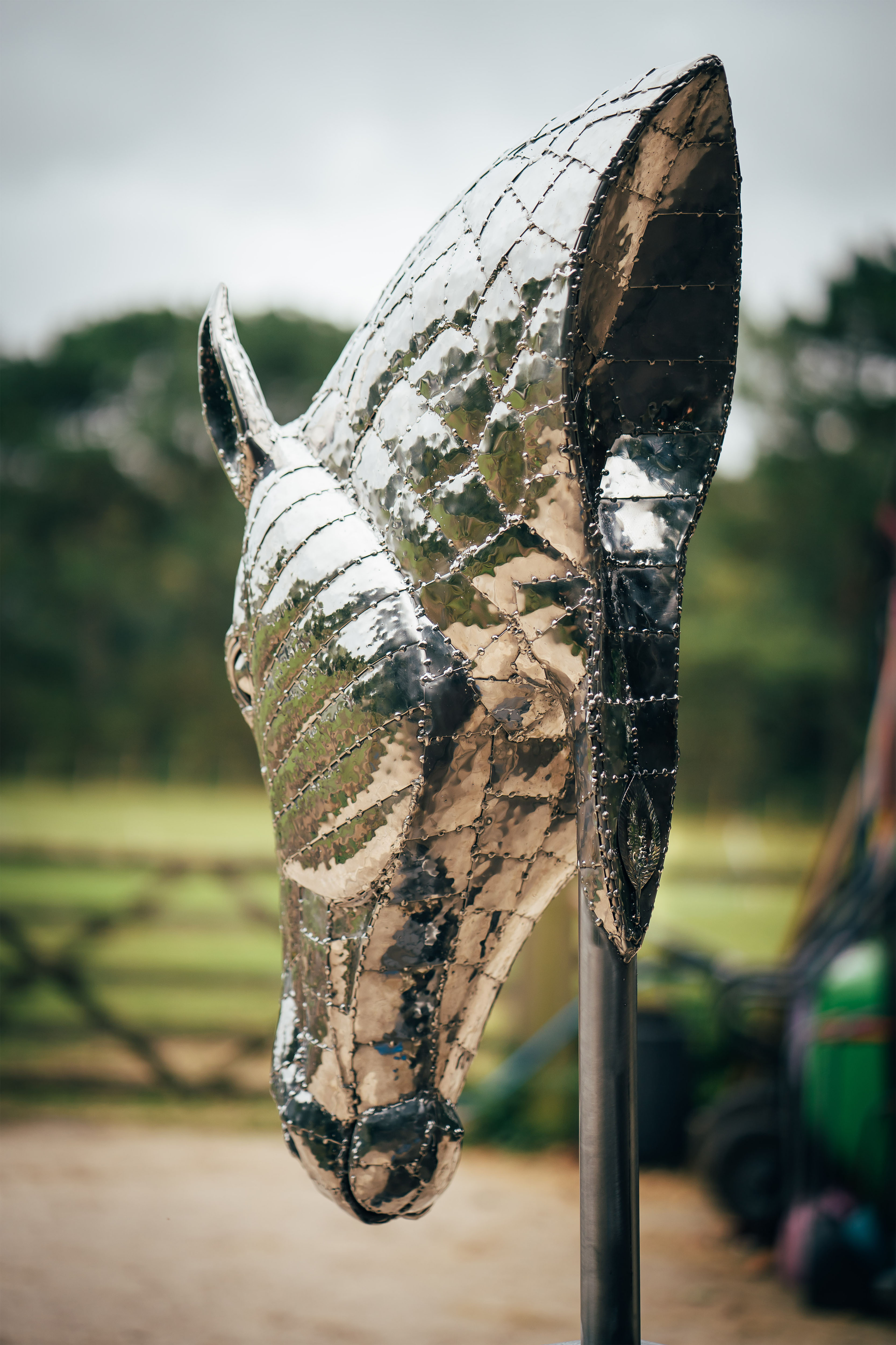 Horses Head
