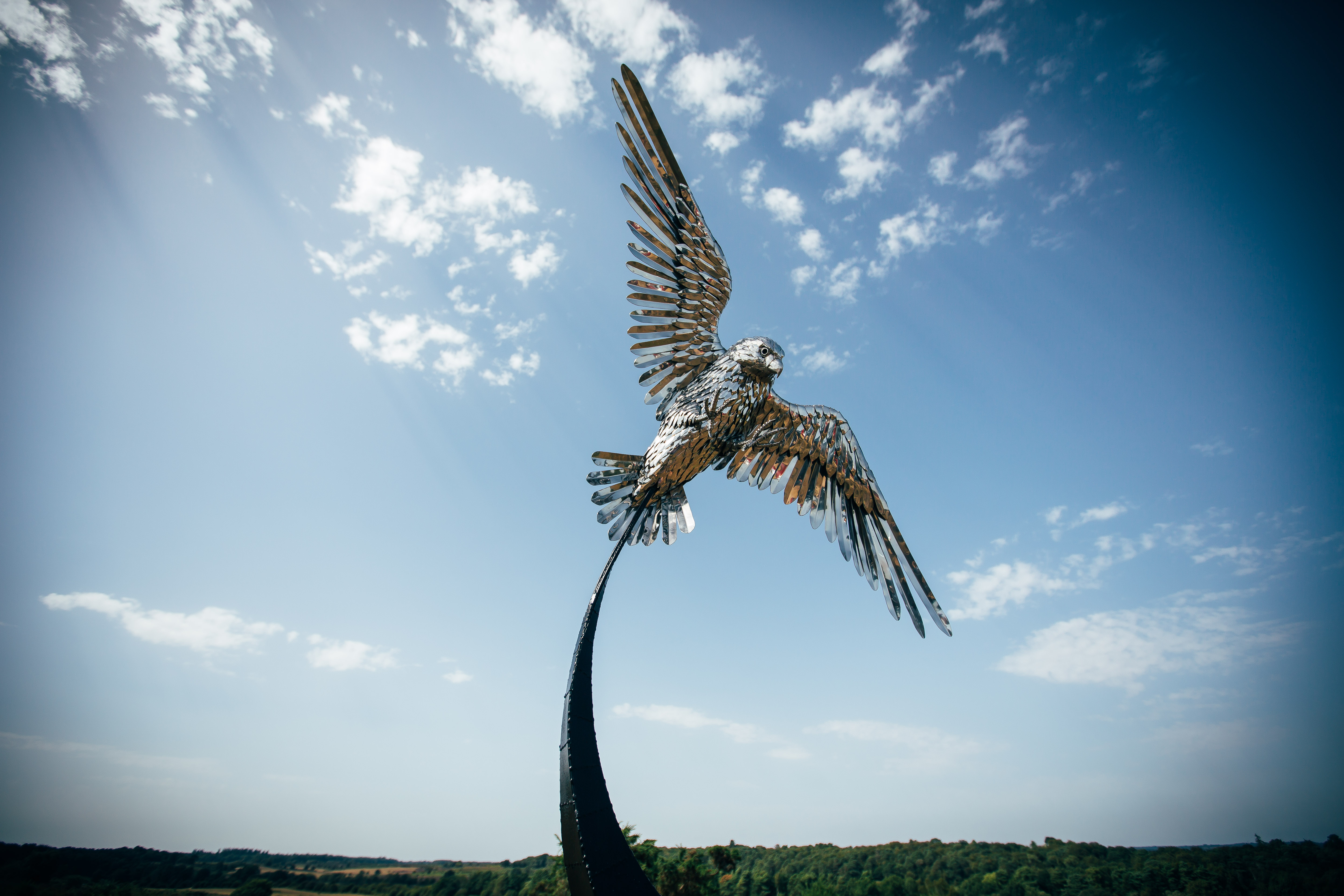 Falcon in Flight