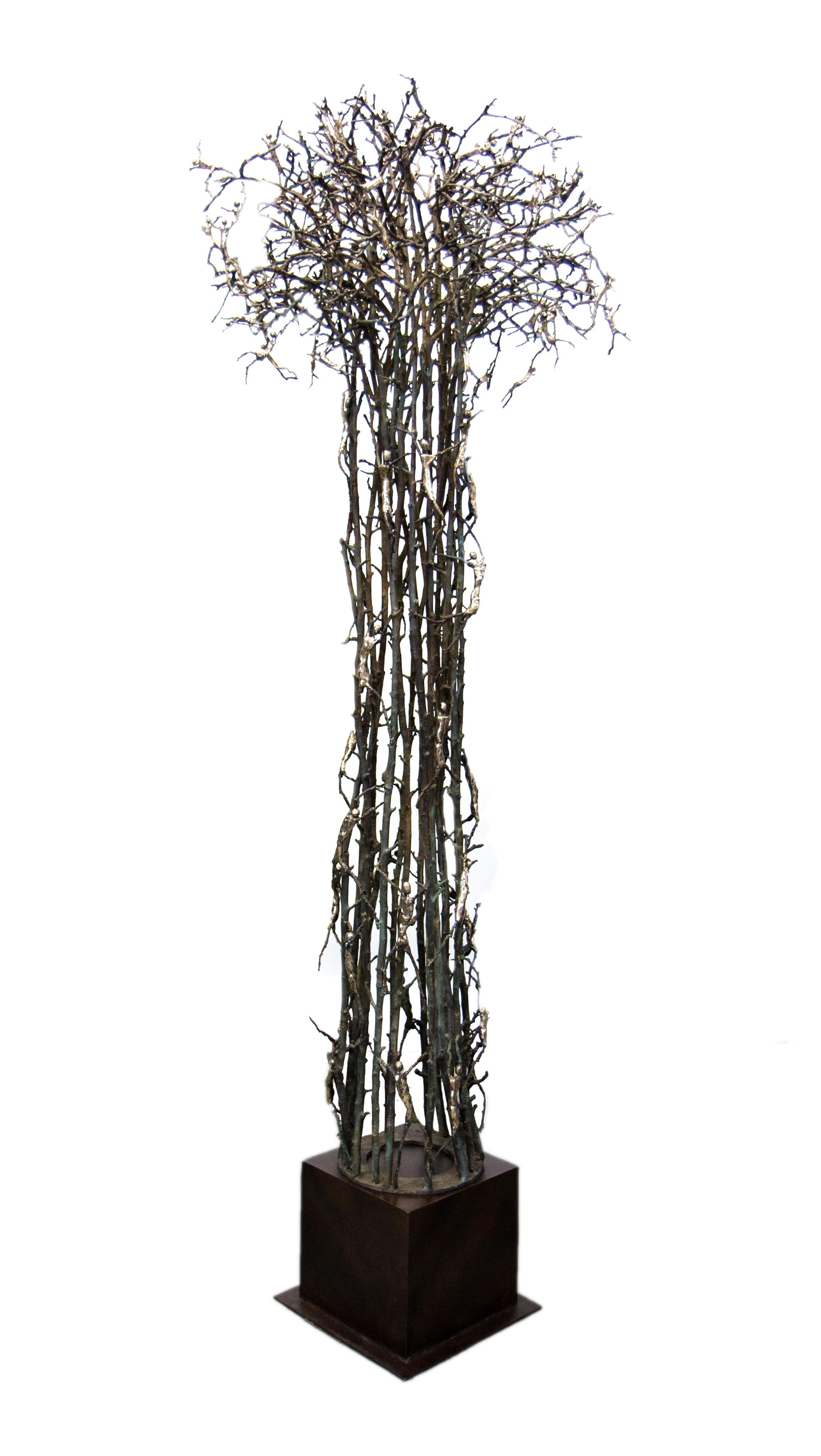 DNA Tree of Life