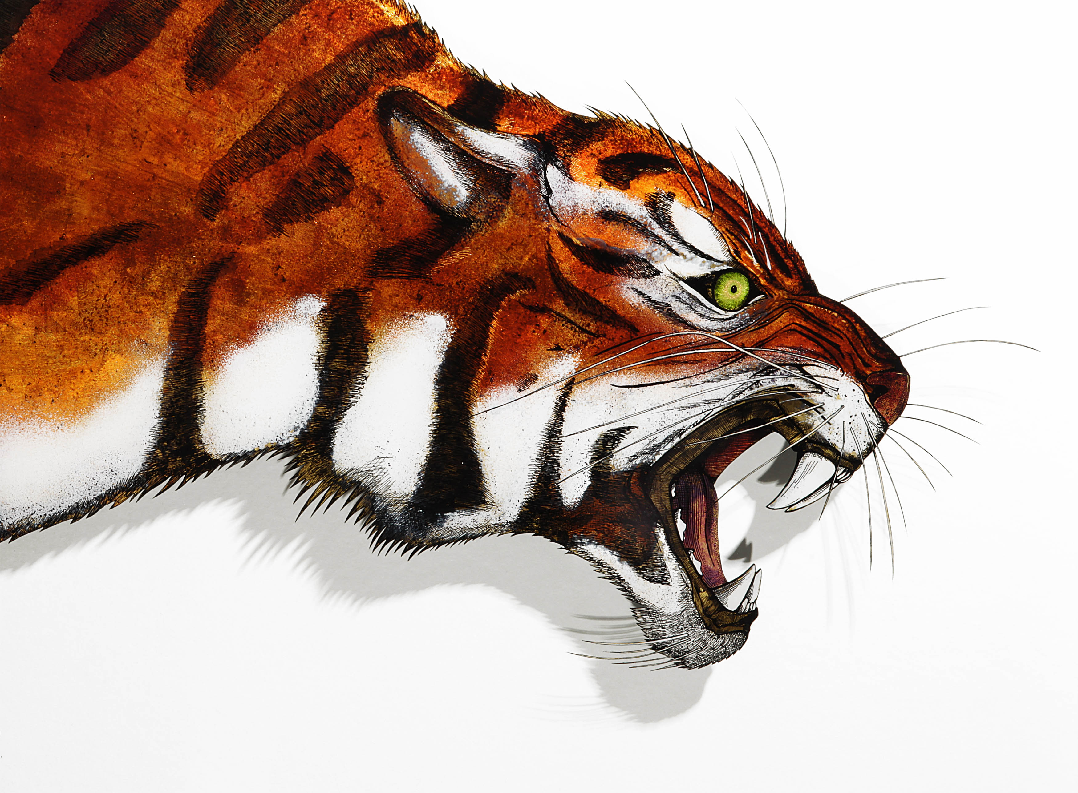 Hunting Tiger