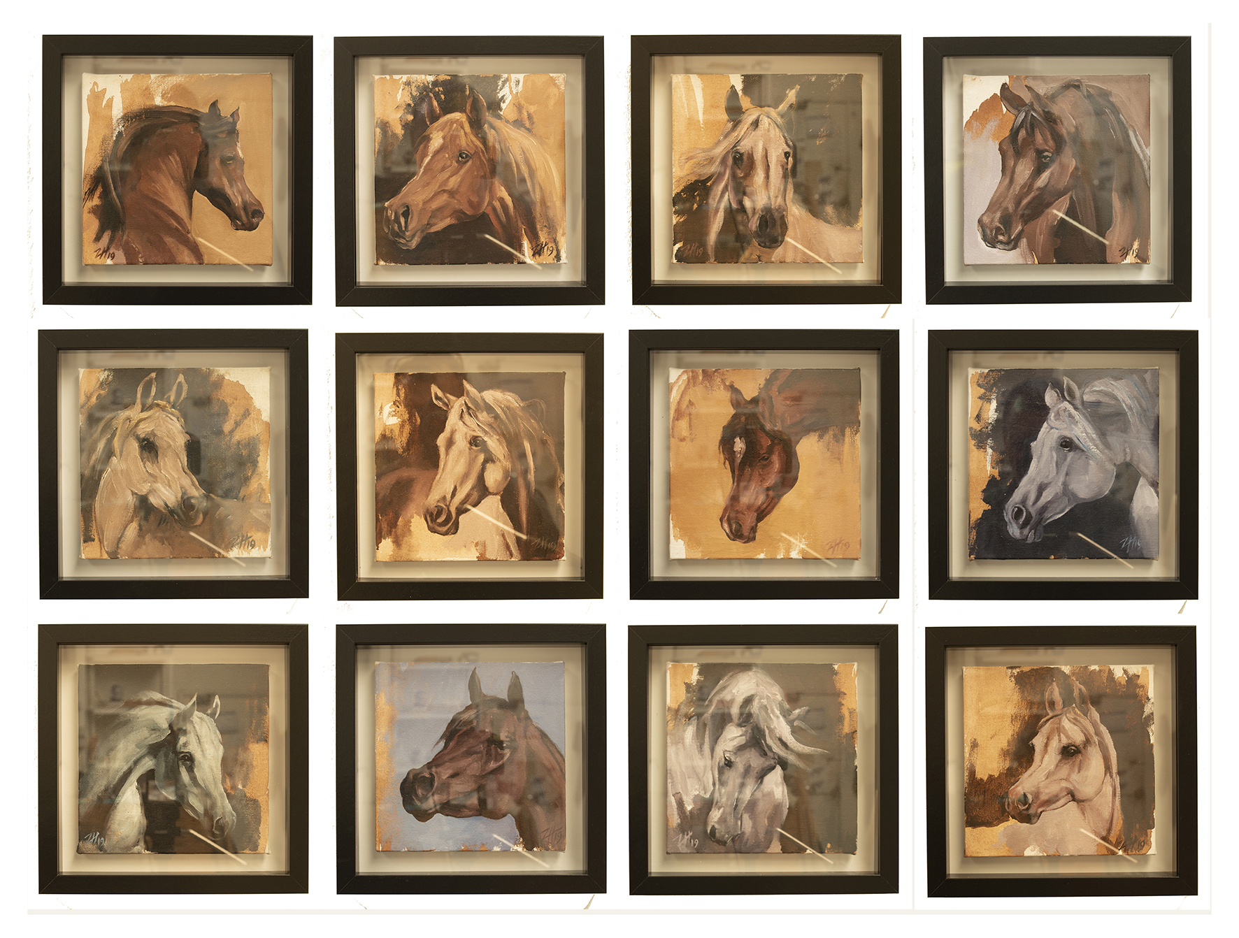 Equine Head Arab studies