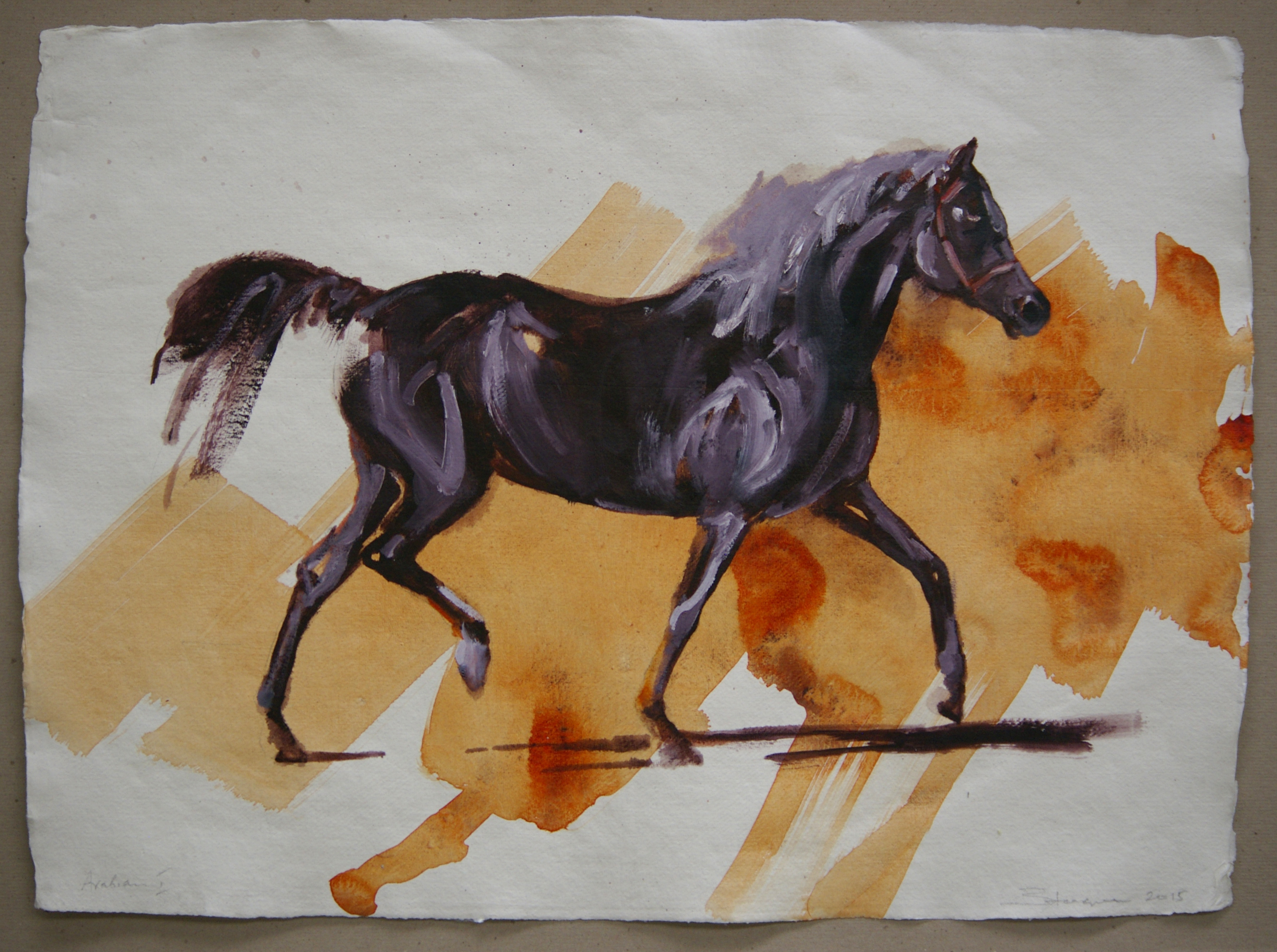 Arabian I (study)