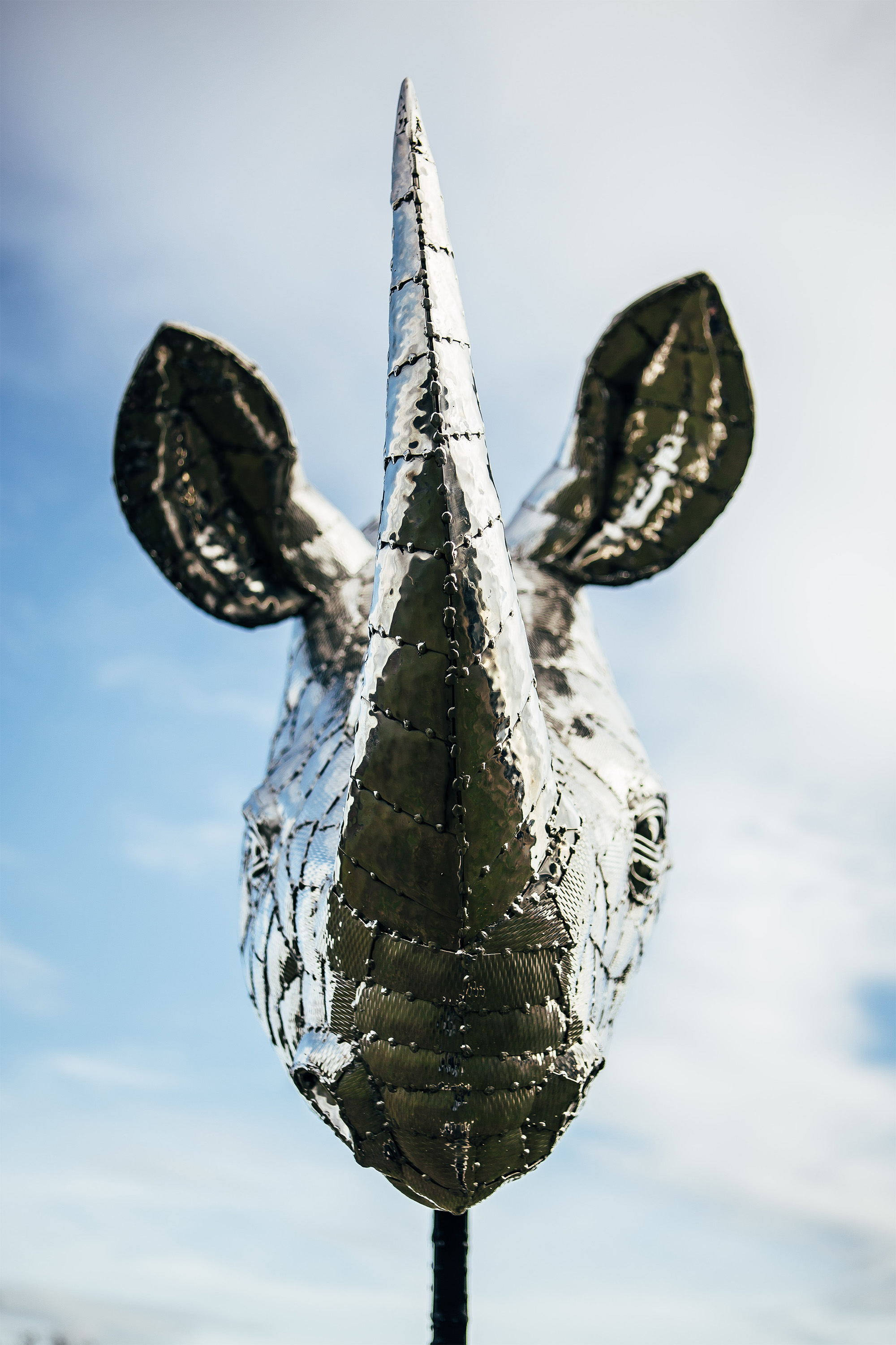 Rhino