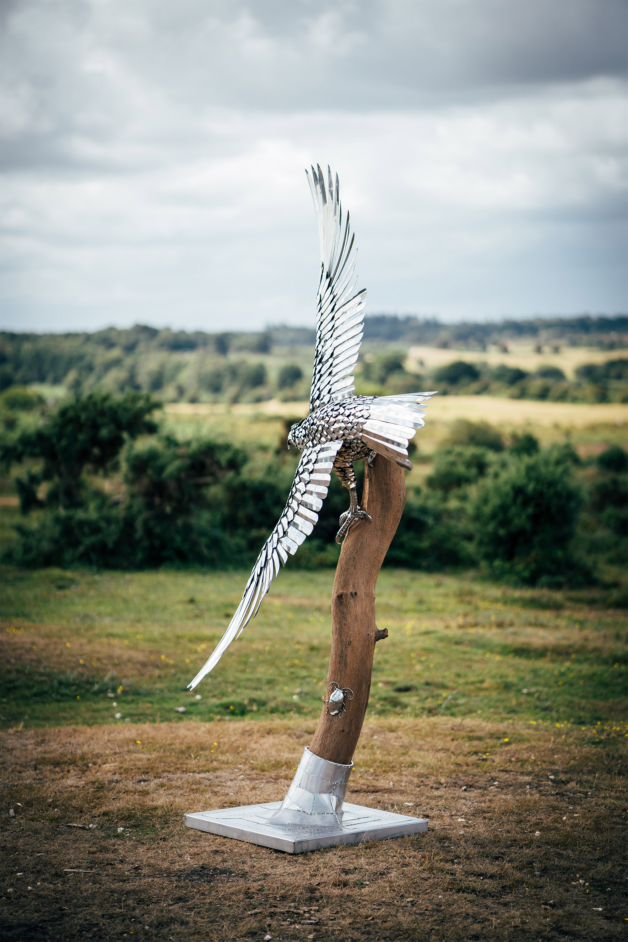 Eagle