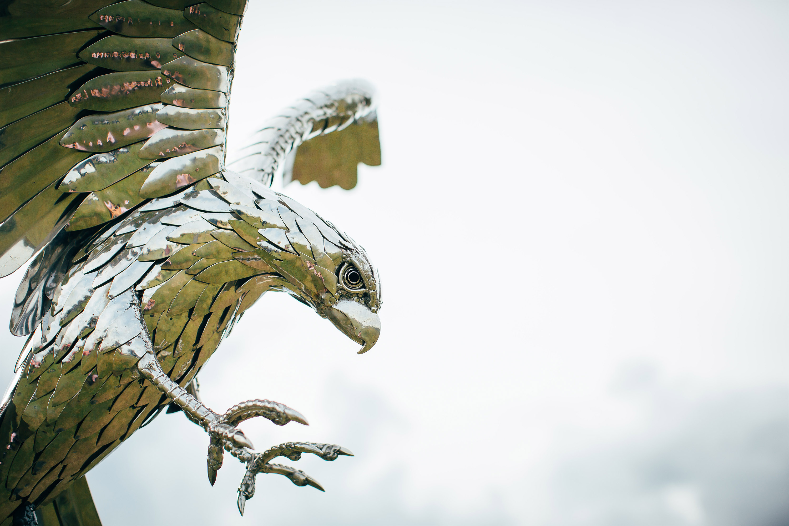 Falcon