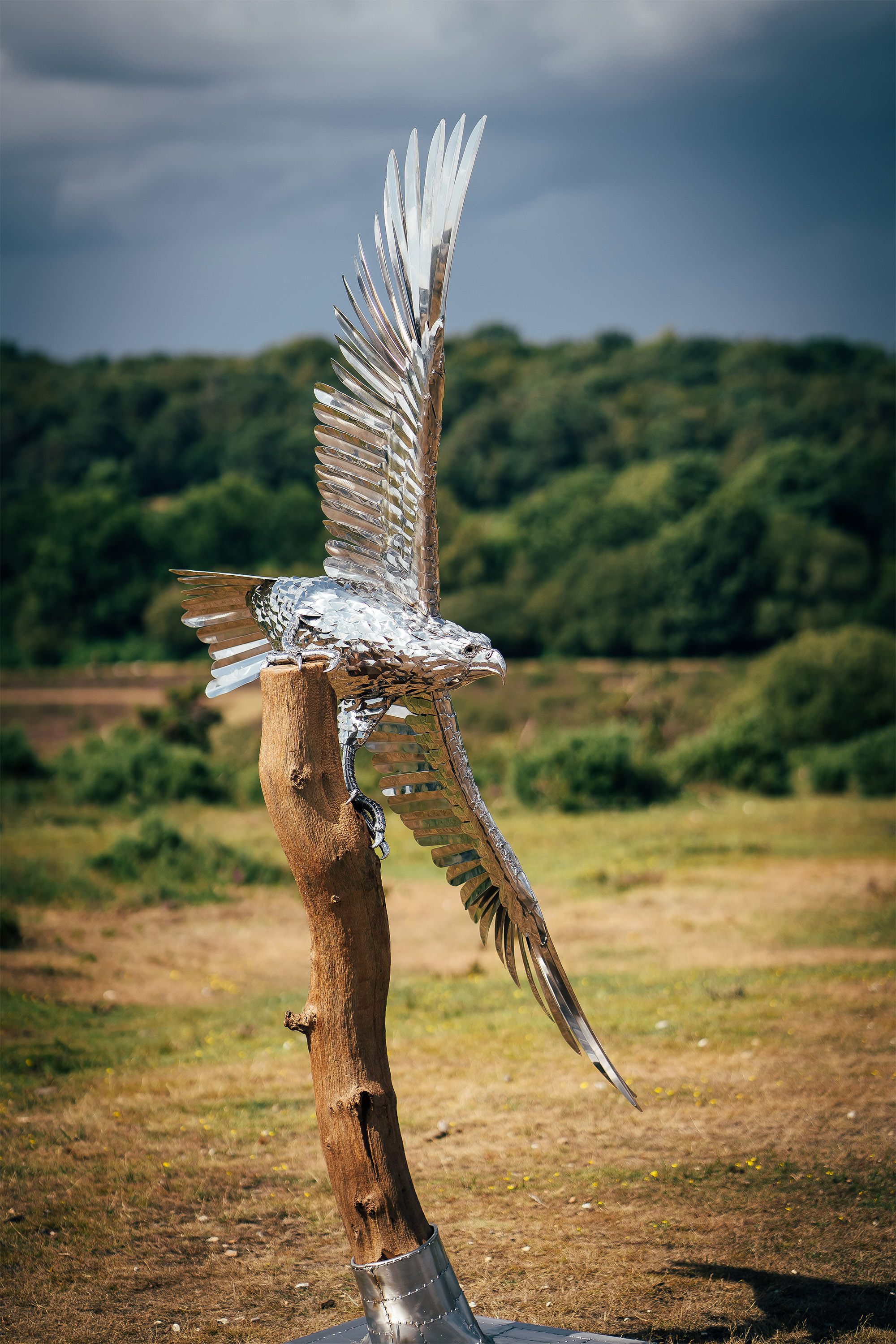 Eagle