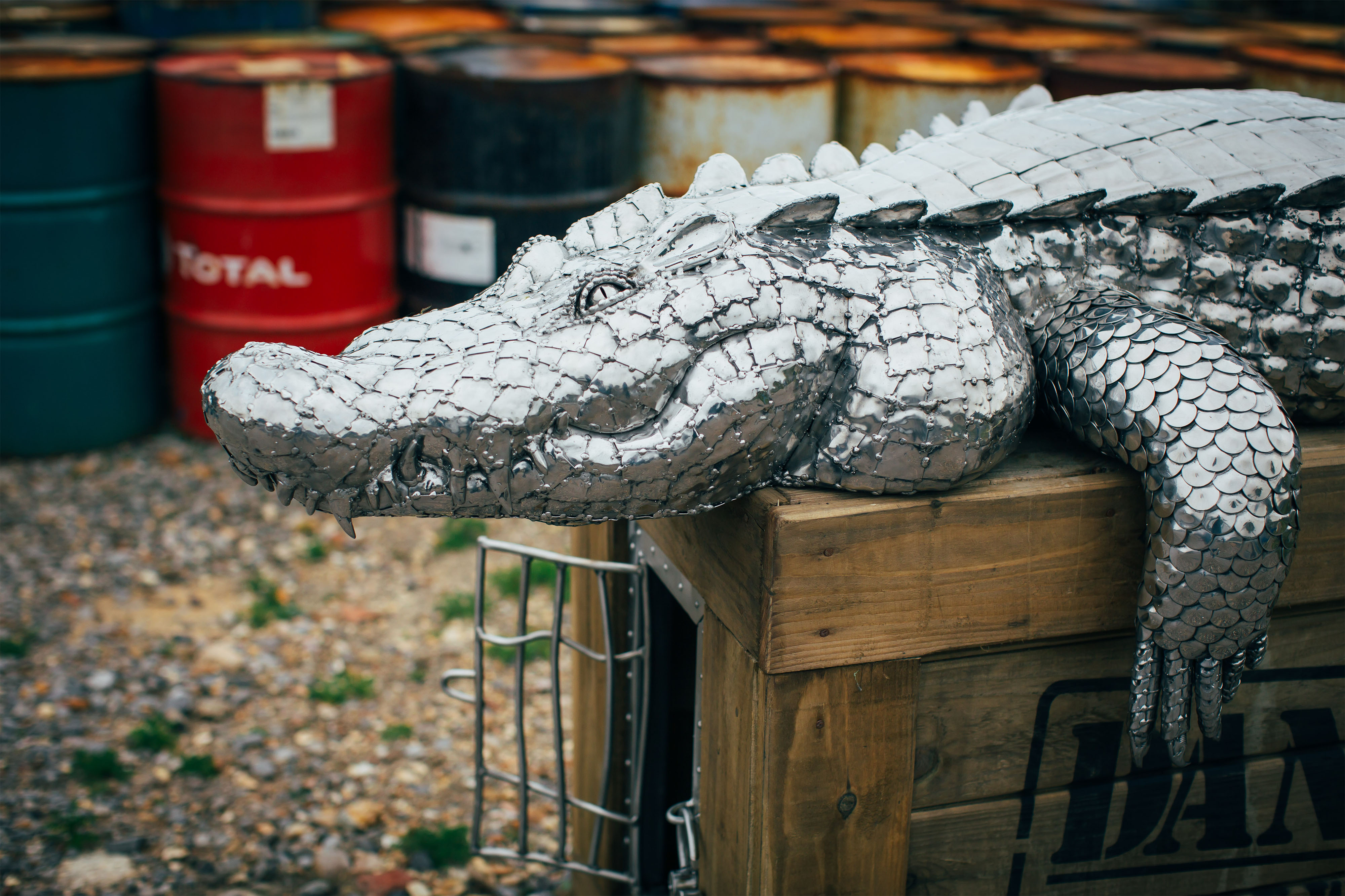 Crocodile