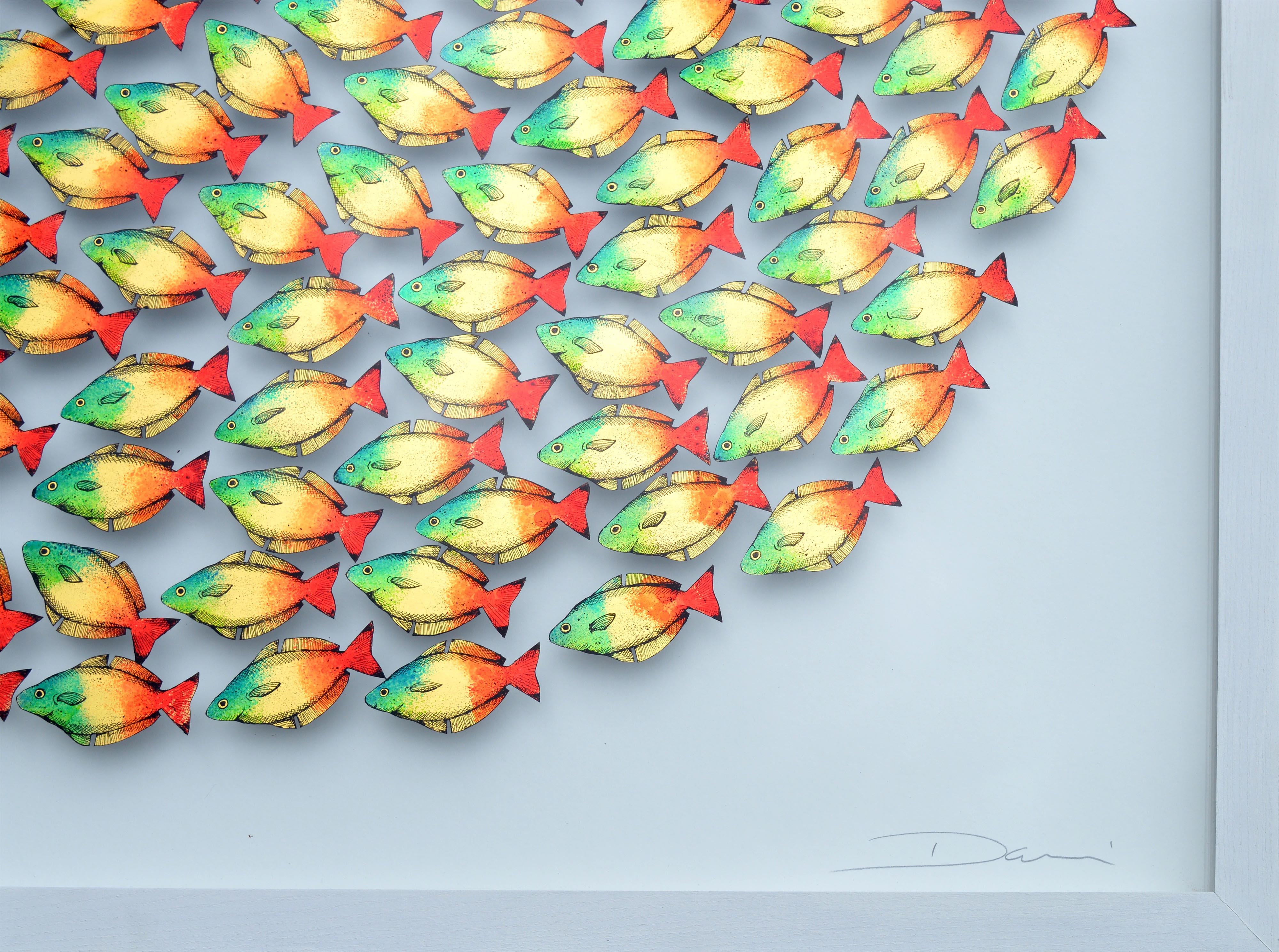 Boesemans Rainbow Fish
