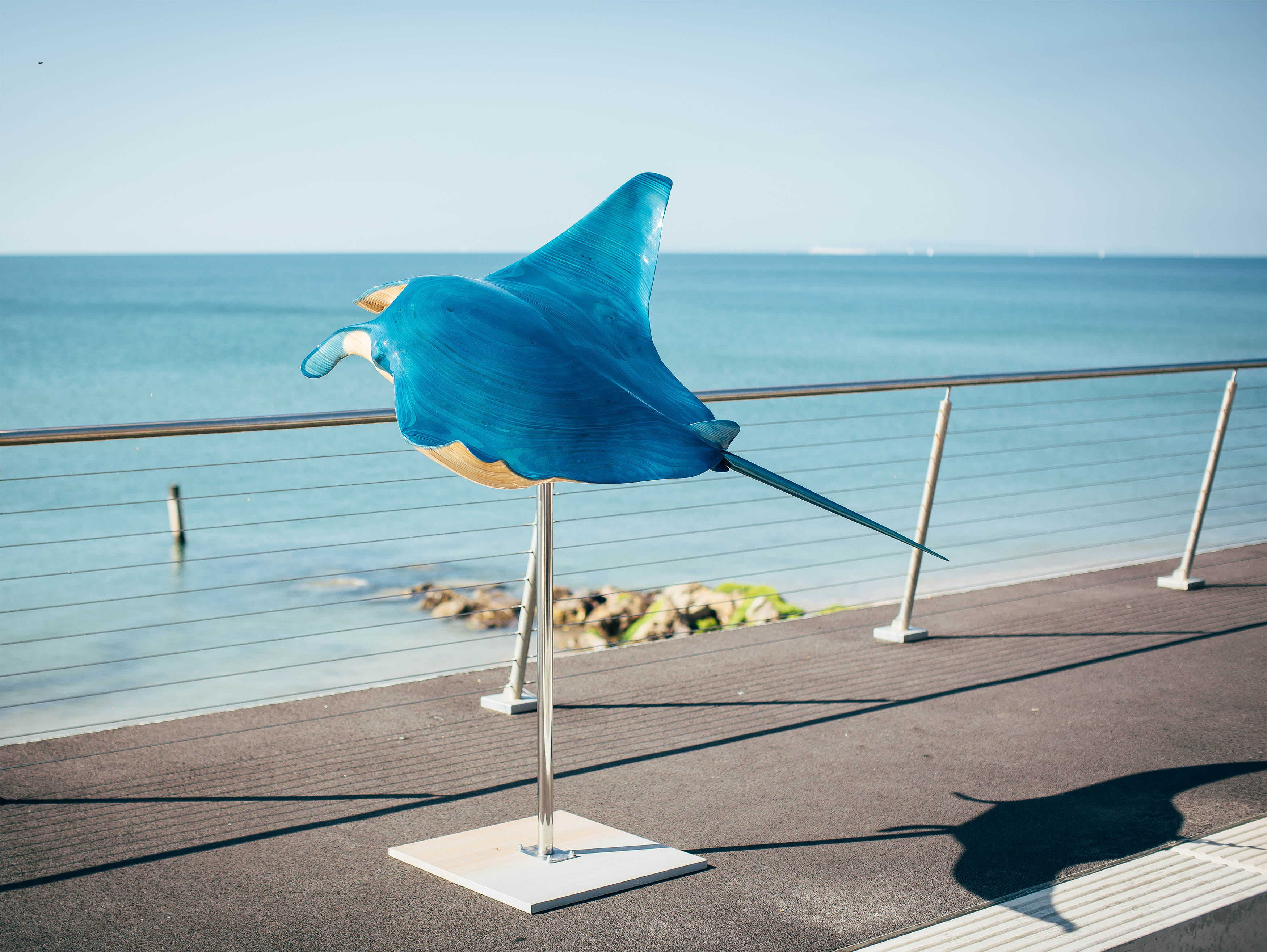 Manta