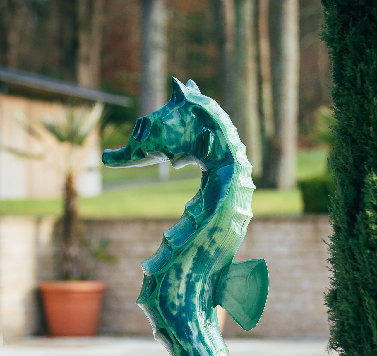 Seahorse
