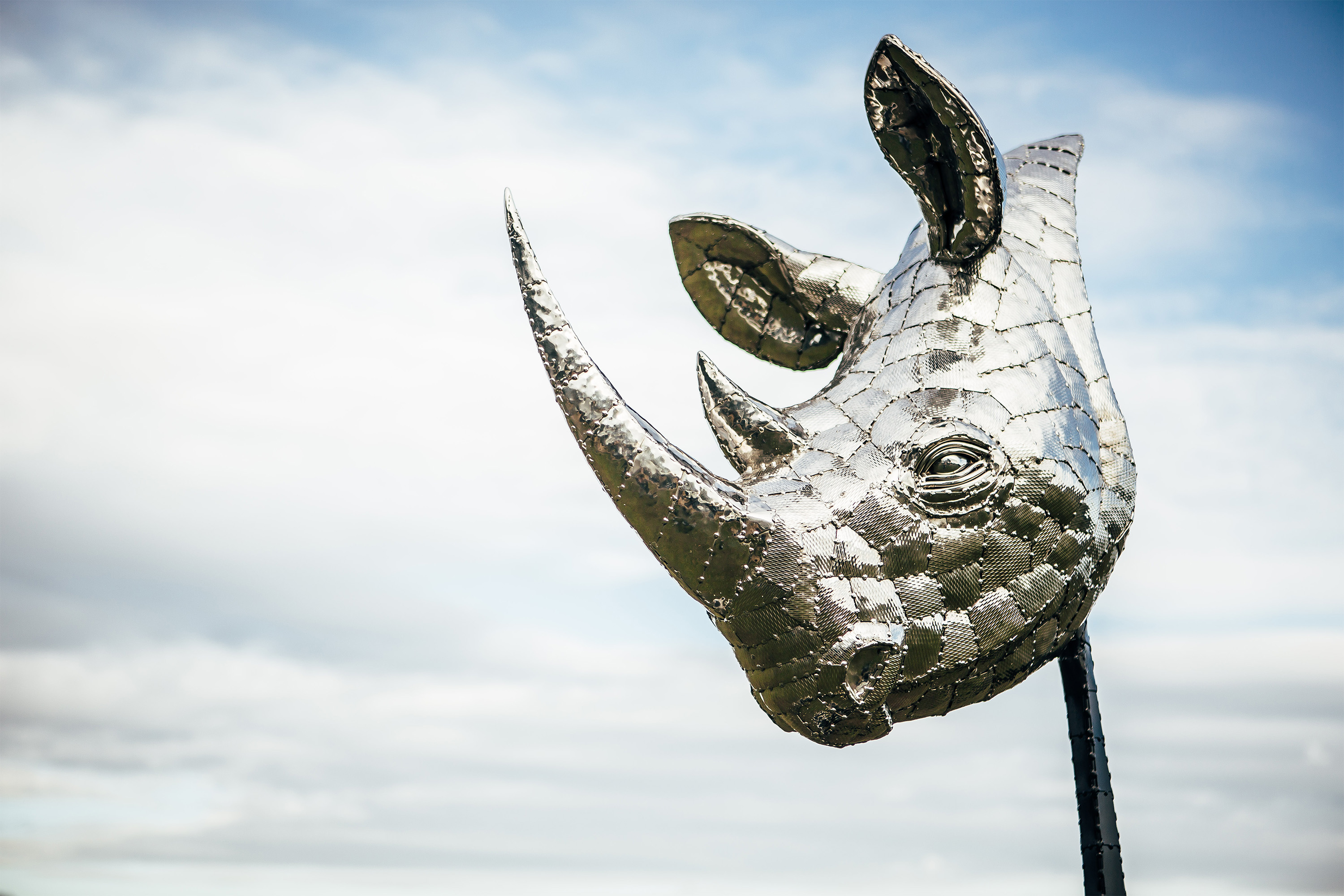 Rhino