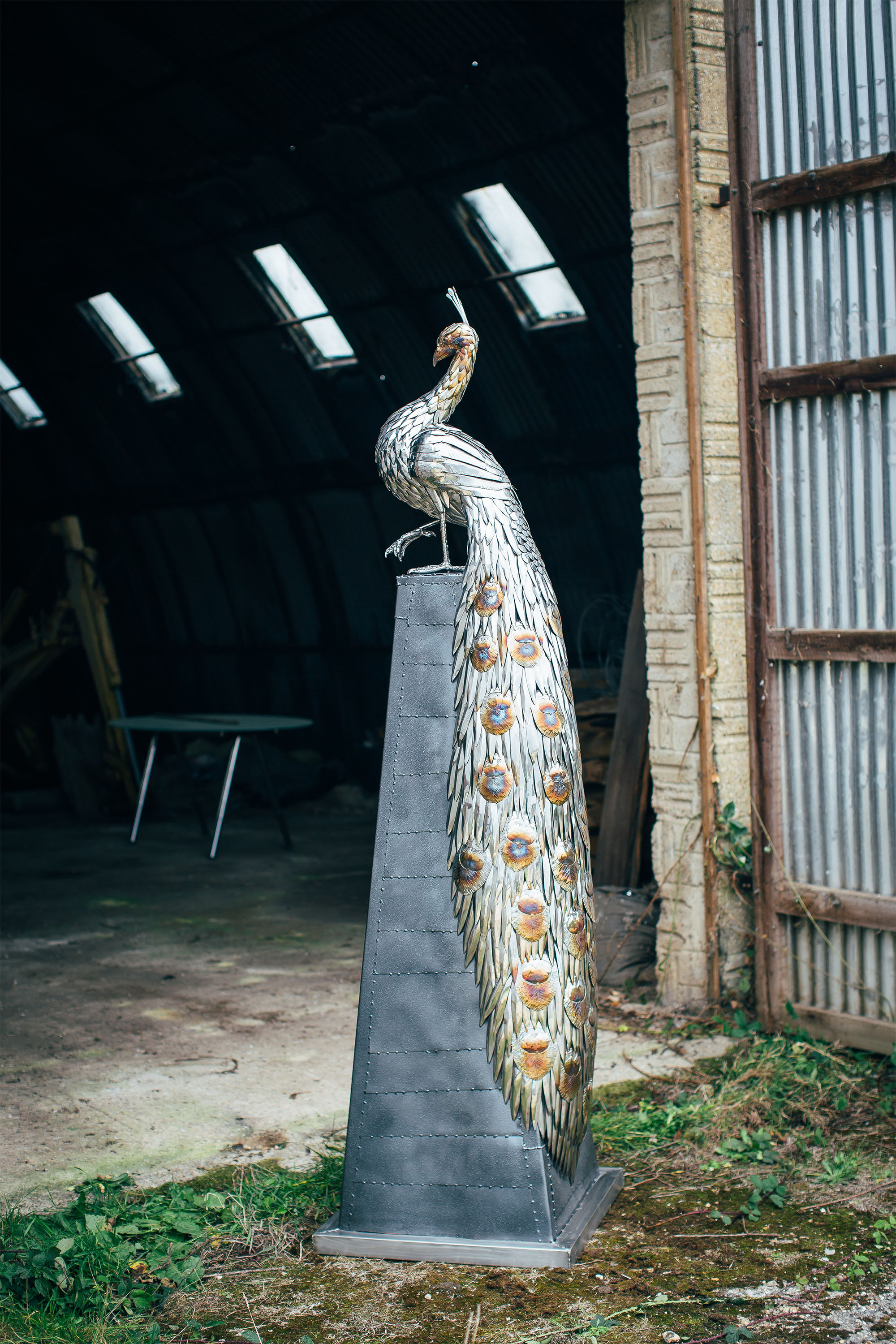 Peacock