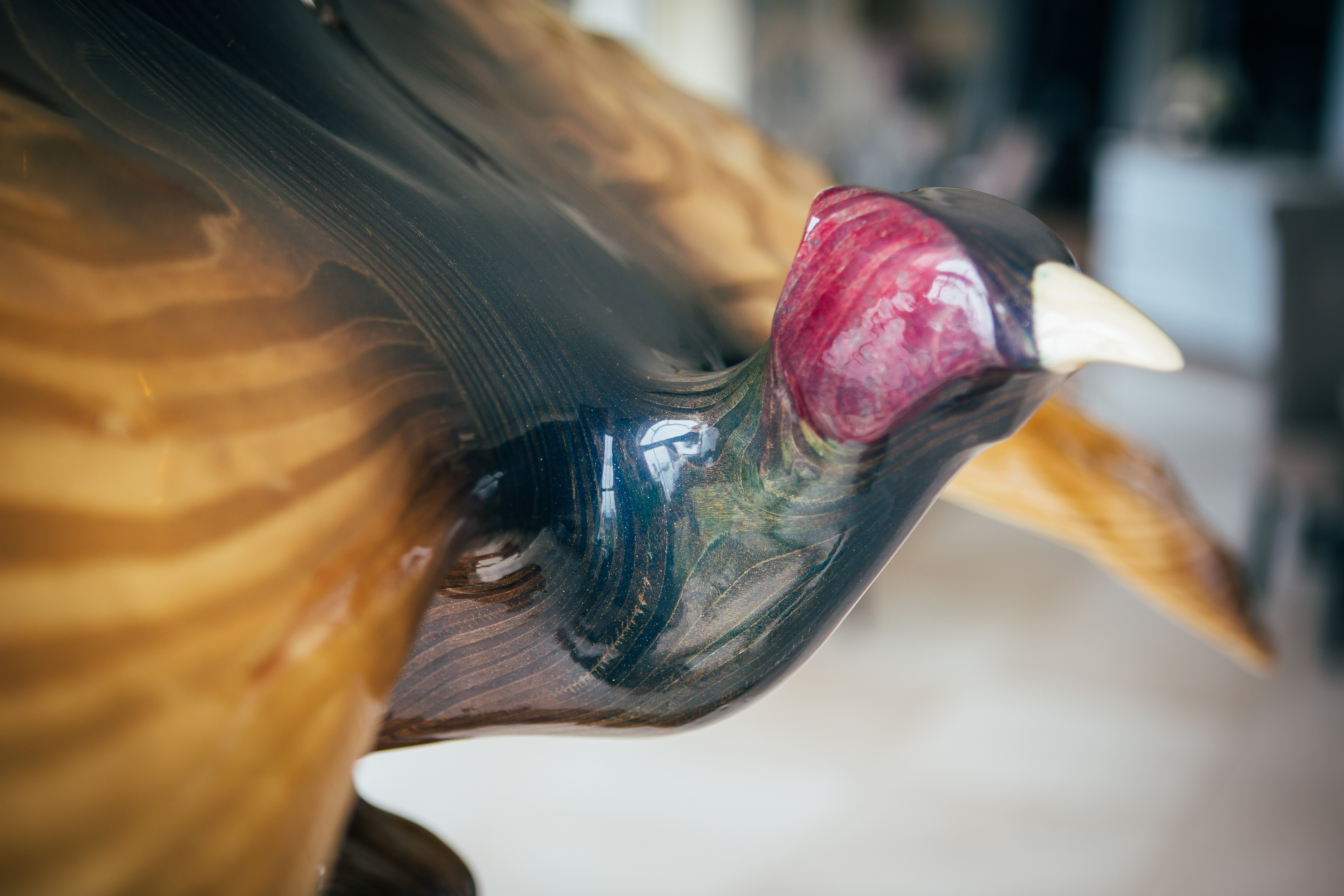 Pheasant