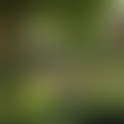 How to Save Energy During the Summer Months