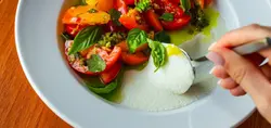 Native Fine Diner's Duke's Mayo Panna Cotta