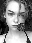 fea.PNG