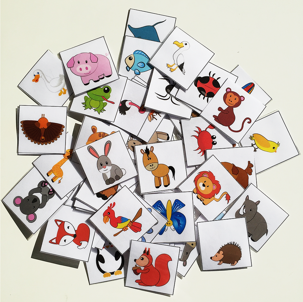 Miniature : Mon Imagier Animaux