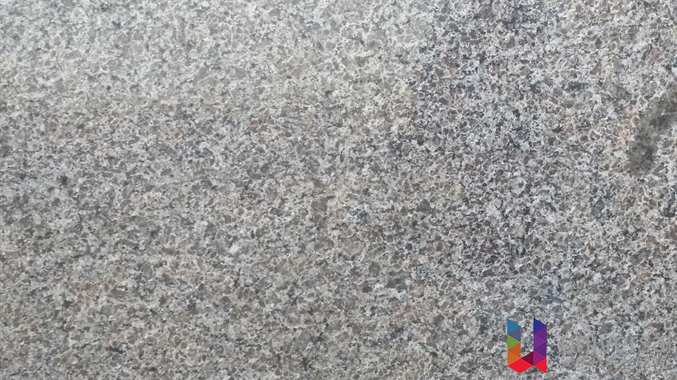 New Caledonia Entry light grey granite slab with evenly distributed charcoal and white mineral crystals.