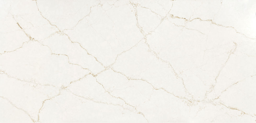 Cosentino Silestone Blanc Elysee main surface