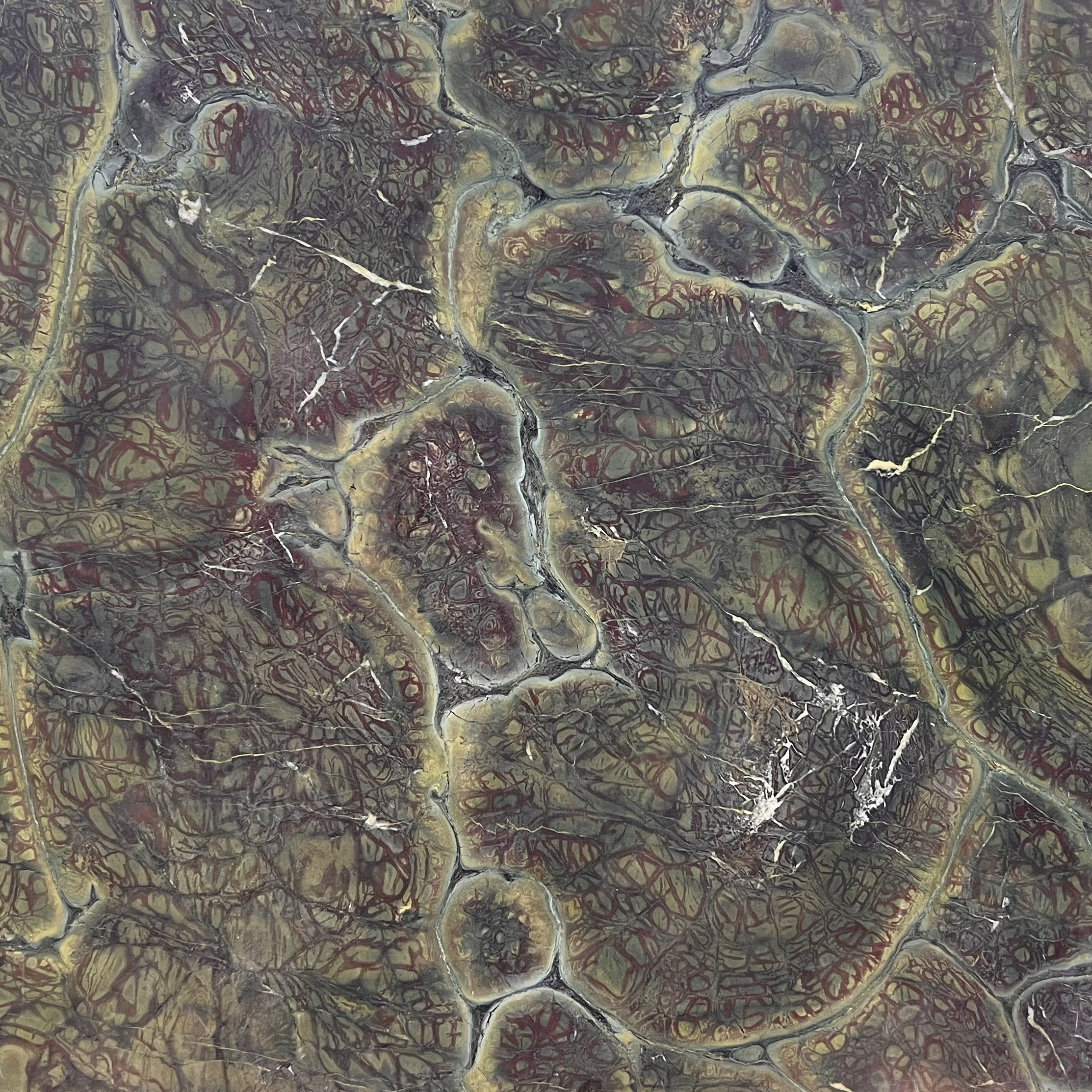 CDK Natural Stone Vitoria Regia quartzite surface