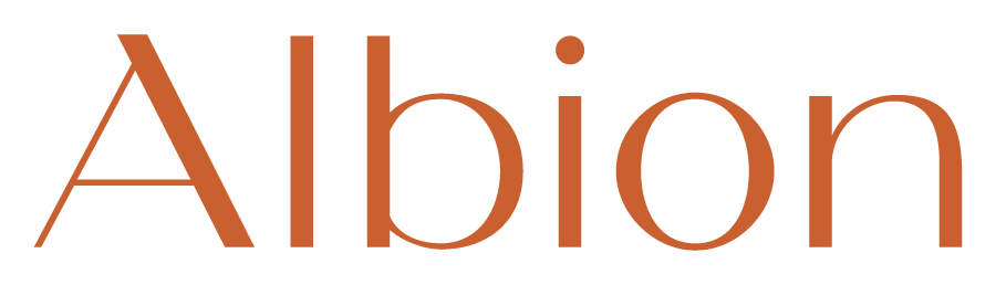 albion-group-wordmark-orange-rgb-900px-w-144ppi.png