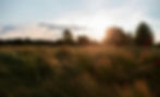 Open field at sunset.