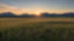 Field with sunrise and mountains