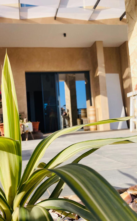 entrata appartamento tortuga