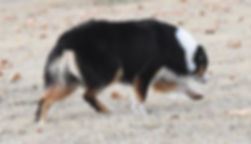 fullsizeoutput_1b2e.jpeg