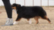 fullsizeoutput_1baa.jpeg
