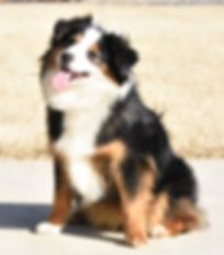 fullsizeoutput_14e5.jpeg