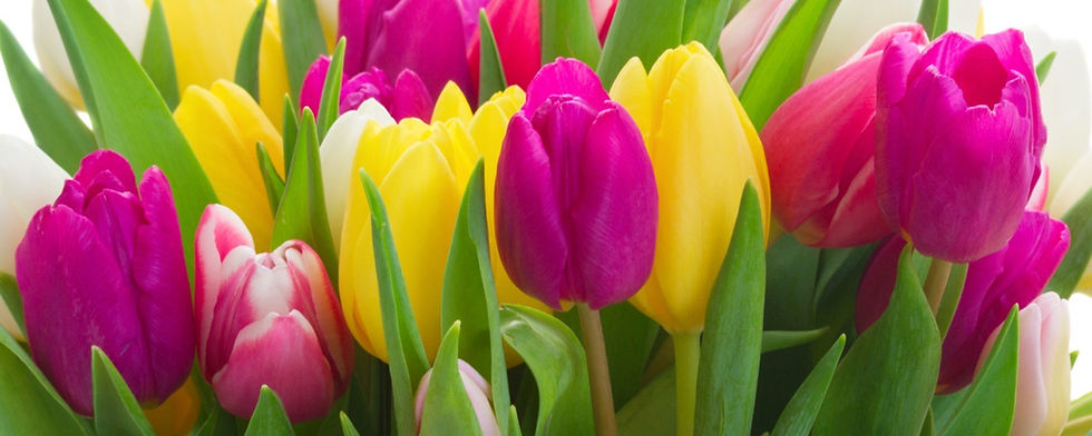 Colorful%2520Bouquet_edited_edited.jpg