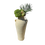 Indexkép: Amfóra